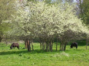 Stadtwohnung, Benz Auf Usedom